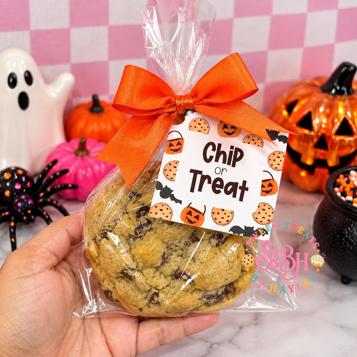 Single Chocolate Chip Cookie