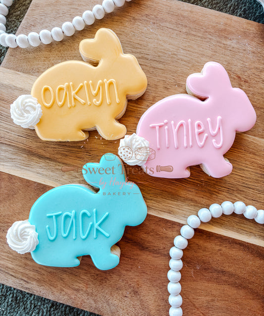 Personalized Colored Bunny